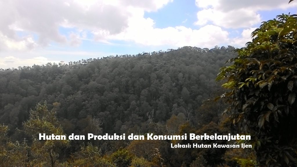 Hutan di kawasan Sempol Kabupaten Bondowoso